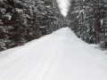 DSC08952a