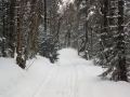 DSC08963a