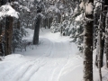 DSC08965a