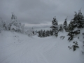 2010-03-03 10.56.27