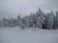 2010-03-03 10.56.55